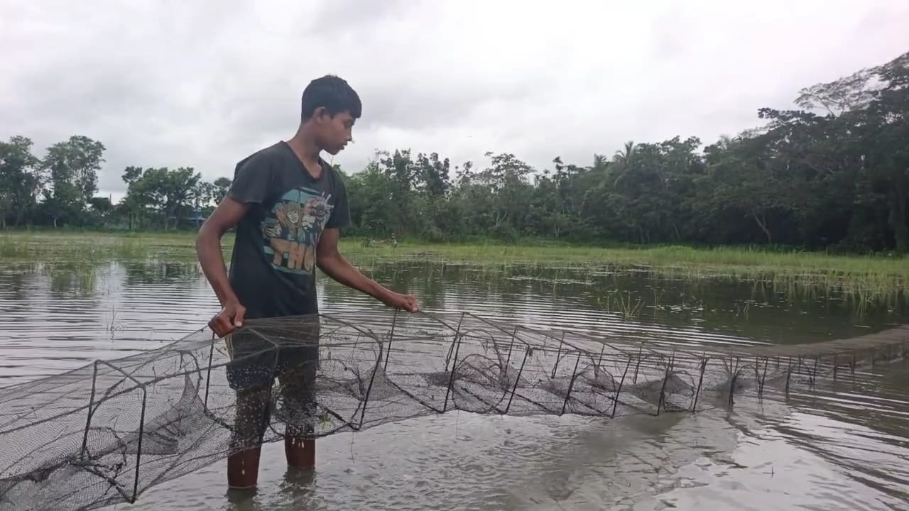 নিষিদ্ধ চায়না দুয়ারী জালের অবাধ ব্যবহারে হুমকির মুখে পিরোজপুরের মৎস্য সম্পদ।