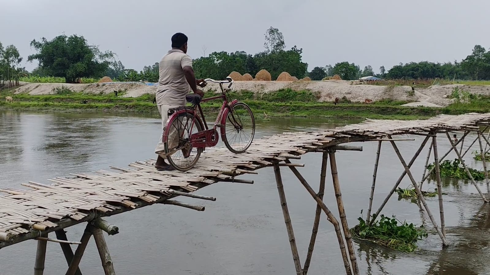 নড়বড়ে বাঁশের সাঁকো দিয়েই চলছে ঝুঁকিপূর্ণভাবে যাতায়াত।