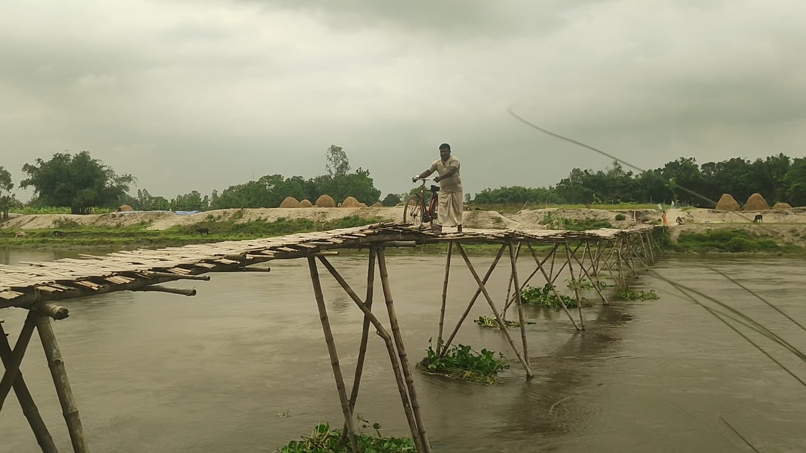 দেওনাই নদীর ওপর বসুনিয়ারডাঙ্গা গ্রামের বাঁশের সাঁকো।