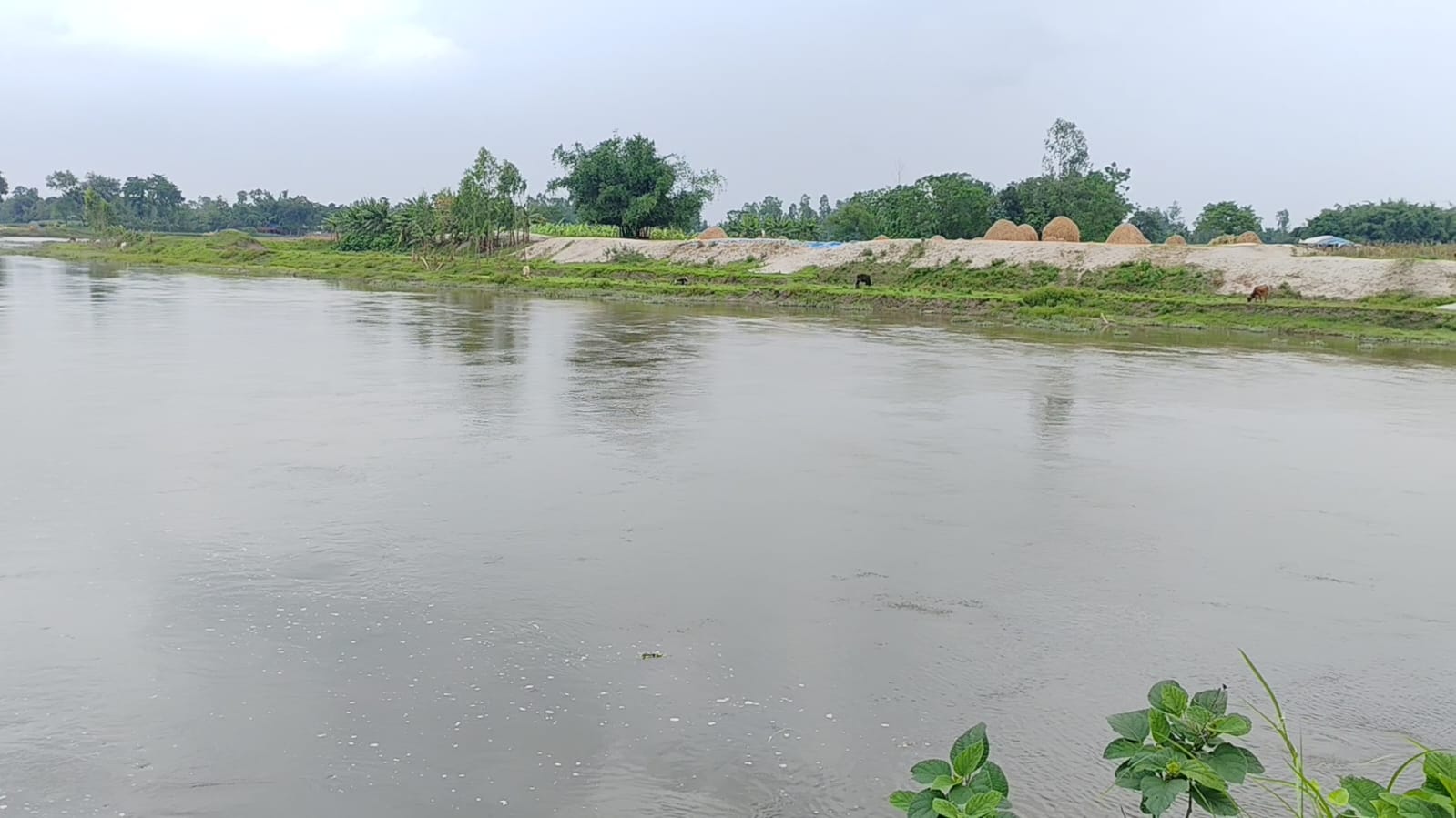 দেওনাই নদী।