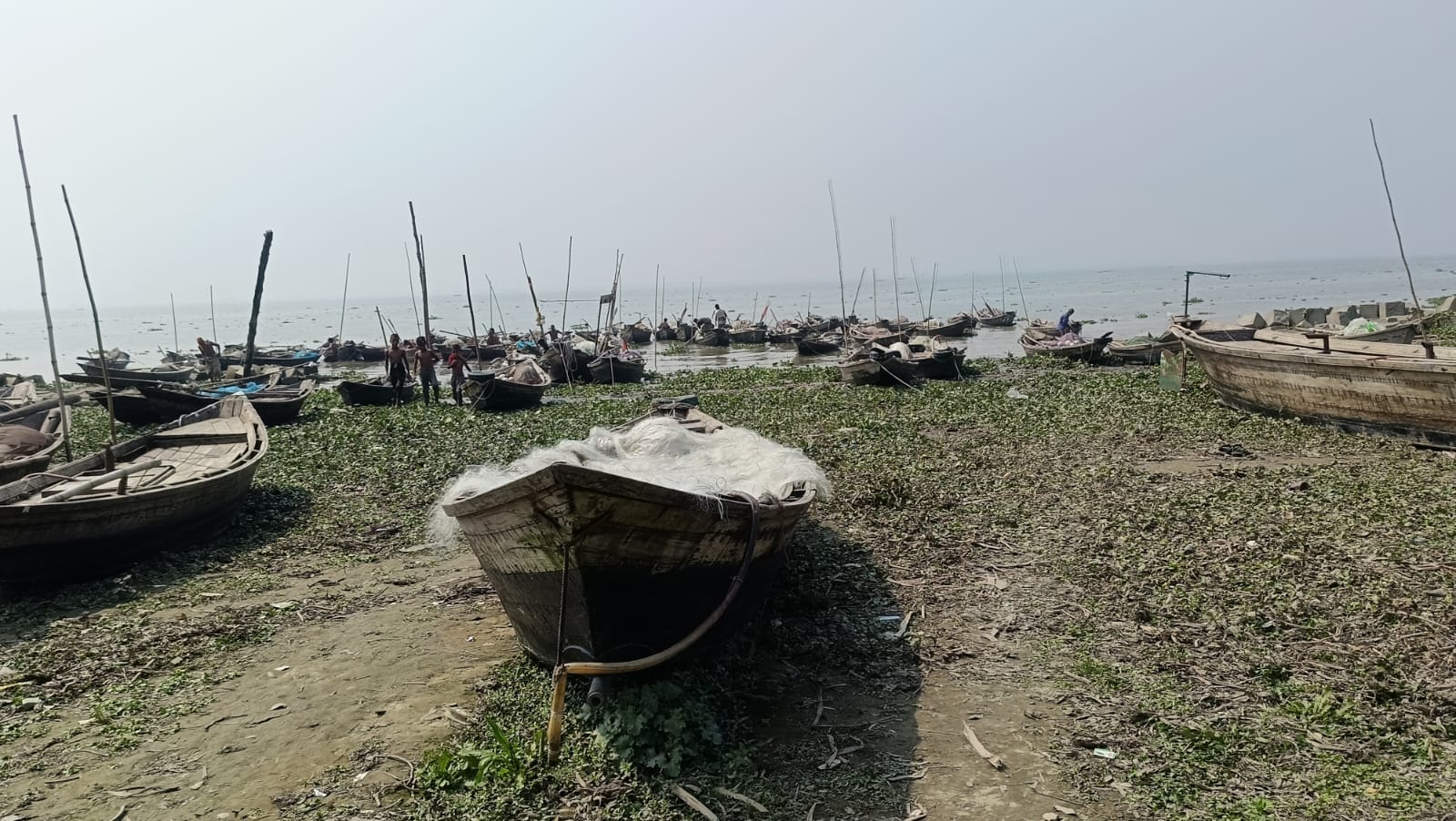 চাঁদপুর মাছঘাট।